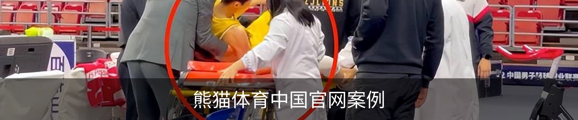 熊猫体育中国官网案例